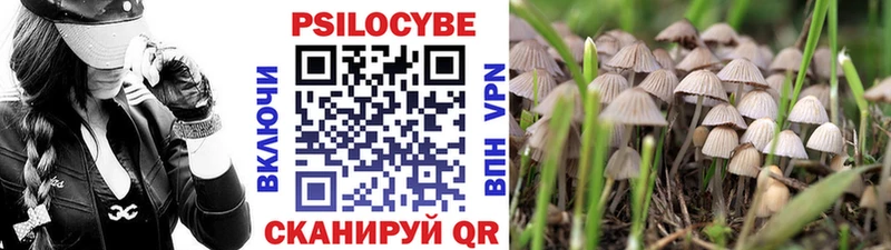 Псилоцибиновые грибы GOLDEN TEACHER Лиски